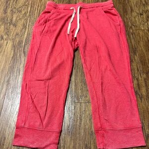 Express Crop Joggers Lightweight Sweatpants Pink Size XS Like NEW!